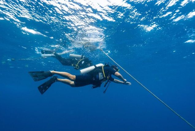 Snorkeling Adventure at Port Ghalib Marina from Marsa Alam