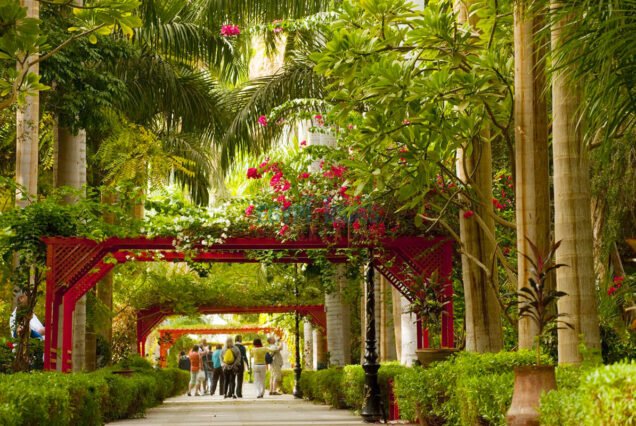 Private Tour to the Botanical Gardens & Museum